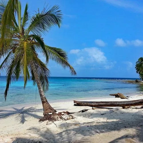 Douceur et couleur Caraïbes Visuel